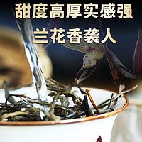 金星满天 冰岛普洱茶生茶散茶2024年新茶云南临沧古树茶生普头春新茶叶 买一次能喝半年装1000g散茶