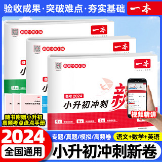 《2024新版一本小升初冲刺新卷》（1-6年级）（语数英）