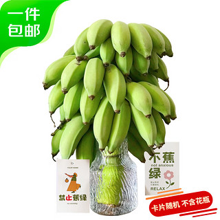 禁止蕉绿苹果蕉 净重7-8斤 带杆水培香蕉 新鲜水果 源头直发