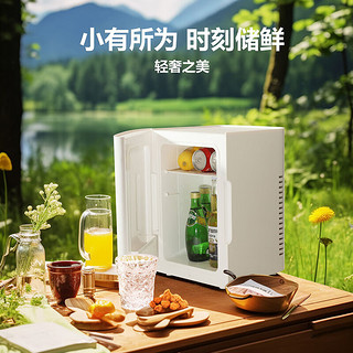 海尔（Haier）冷暖保温箱家车两用恒温柜药物小冰箱热牛奶饮料保鲜冷藏办公露营 12L 车家两用 单核性价比之选