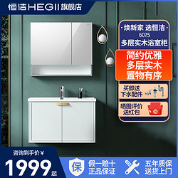 HEGII 恒洁 浴室柜组合 简约生态木储物镜柜盆套装BC6075