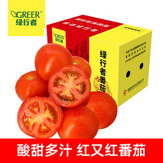 红又红番茄 现摘西红柿  2.5kg装