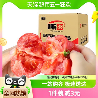 88VIP：哪咤豆豆 GREER 绿行者 青粉番茄生吃沙瓤西红柿 2.5kg