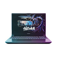 百亿补贴：COLORFUL 七彩虹 将星X15 15.6英寸游戏本（i7-13650HX、16GB、1TB SSD、RTX4070）