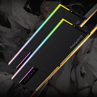 Asgard 阿斯加特 女武神·瓦尔基里Ⅱ代 DDR5 6800MHz RGB 台式机内存 灯条 黑色 48GB 24GBx2 C34 海力士M-die