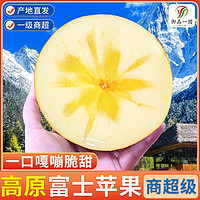 御品一园 陕西红富士苹果彩箱 新鲜冰糖心丑苹果 净重4.7斤