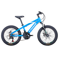 TRINX 千里达 儿童自行车小孩男女飞龙猛龙3-4-5-6岁脚踏变速单车20寸童车 -蓝绿白