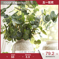 HARBOR HOUSE HarborHouse美式家居饰品装饰仿真插花装饰绿叶仿真尤加利叶Brisk