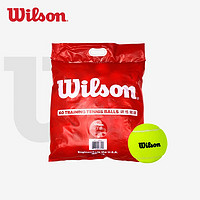 Wilson 威尔胜 网球无压袋装桶装13600 131200 131100训练球发球机通用 13600-60个袋装-带球袋
