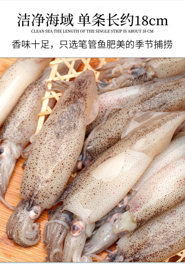 朵芙 海兔子满籽 2斤 新鲜海兔带籽笔管鱼籽乌鱿鱼海鲜水产青岛海鲜