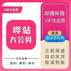 哔哩哔哩大会员一年 bilibili B站一年大会员1年 12个月 一次到账1年（不支持电视）