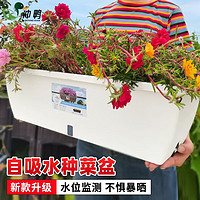 原起点 阳台种菜盆(60cm)自吸水加厚耐晒大花盆长方形蔬菜种菜箱懒人神器 象牙白1个装