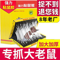 强力粘鼠板正品超强效室内捉抓粘贴大老鼠神器家用加厚送诱鼠粮食