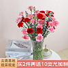 JIANSHI 简势 品质鲜花玫瑰花康乃馨百合向日花束云南昆明基地直发 康乃馨10枝-随机色