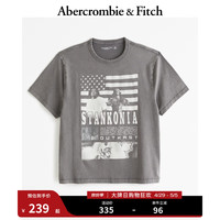 ABERCROMBIE & FITCH男装女装装 24夏季时尚图案美式风复古T恤 KI123-4161 深灰色 XXL (185/124A)