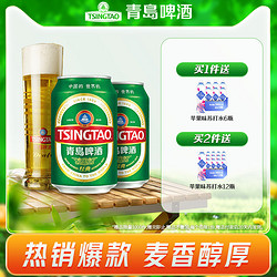 TSINGTAO 青岛啤酒 经典啤酒330ml*24听(电商尊享)青岛原产官方直营