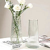 FGHGF简约玻璃花瓶桌面插花水养干花花瓶ins风高颜值客厅摆件 水波纹花瓶1个