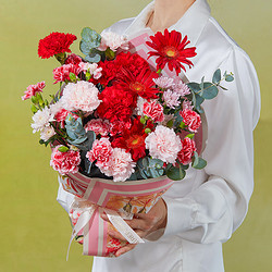 京东鲜花 康乃馨母亲节鲜花花束礼物实用送妈妈婆婆长辈插花真花