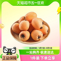 88VIP：四川米易枇杷新鲜当季水果现摘现发1/3斤装整箱包邮