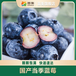 首衡蓝莓新鲜采摘中果12-14 125g/盒