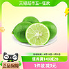 88VIP：福建漳州青柠檬1.5斤装皮薄多汁新鲜采摘