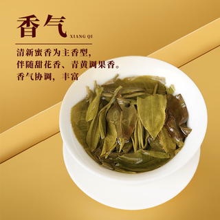 斗记茶叶 云南普洱茶百年大树春茶 2301金斗云南七子饼生普饼茶 （提装）200克*5饼