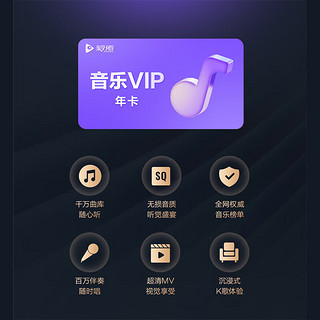 【登录使用】海信电视VIP会员年卡 音乐K歌会员 海信/Vidda/东芝电视通用 畅享12个月听觉盛宴 K歌不限次数嗨唱 海信电视会员