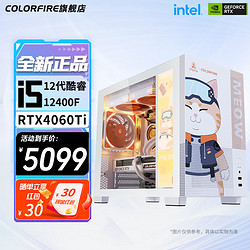 COLORFUL 七彩虹 橘猫联名定制主机（酷睿i5-13400F、RTX 4060 8G、16GB、512G SSD）
