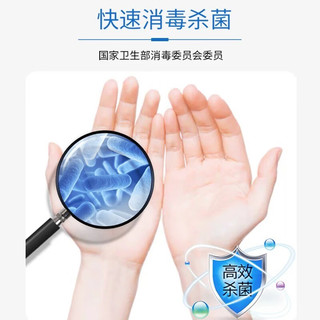 医秝75%酒精消毒液500ML瓶装皮肤消毒清洁杀菌免洗速干75度乙醇消毒液 500ML酒精6瓶【加喷瓶】