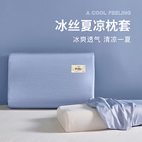 黛圣婕 冰丝乳胶枕套一对装40x60夏季儿童记忆枕头套30×50单人凉枕芯套