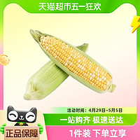 88VIP：生鲜 云南新鲜生吃爆浆金银水果玉米5斤单果250g+