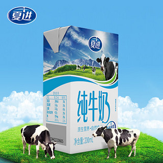 纯牛奶200ml*24盒 家庭量贩装 营养早餐伴侣礼盒装