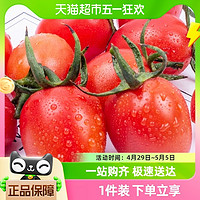 88VIP：丛林千味 顺丰丛林千味福瑞贝贝小番茄现摘蔬菜生吃水果西红柿非千禧番茄
