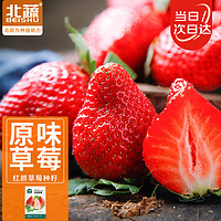 北蔬 草莓种子草莓苗盆栽四季结果好养活水果籽