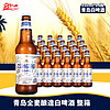 青岛啤酒 国产精酿啤酒青岛全麦白啤酒330m24瓶整箱 麦汁 浓度11度