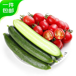 京百味 荷兰水果黄瓜圣女果组合4.5斤装 小西红柿青瓜 新鲜蔬菜 源头直发