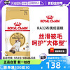 ROYAL CANIN 皇家 RA32布偶猫专用猫粮2KG