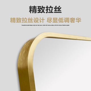 娜兰斯 穿衣镜全身镜落地镜铝合金家用壁挂试衣卧室镜子贴墙现代大镜子 土豪金80*180（壁挂支架两用）