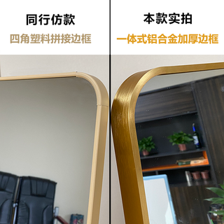 娜兰斯 穿衣镜全身镜落地镜铝合金家用壁挂试衣卧室镜子贴墙现代大镜子 土豪金80*180（壁挂支架两用）