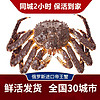【活鲜】帝王蟹鲜活俄罗斯大螃蟹帝皇蟹活蟹阿拉斯加 4.2-4.5斤/一只 (鲜活)