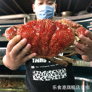 【活鲜】乐食港 澳洲鲜活 皇帝蟹 拟滨蟹大螃蟹 7.8-8.2斤/1只（配送）