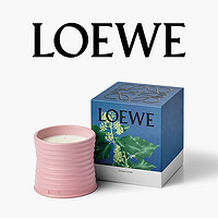 LOEWE 罗意威 家居香薰蜡烛 #常春藤 170g+赠香水体验装1.5ml