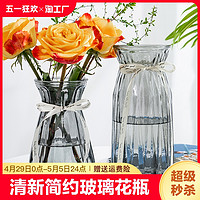 姝好 两件套玻璃花瓶水培鲜花富贵竹水养植物插花瓶客厅装饰台面家居