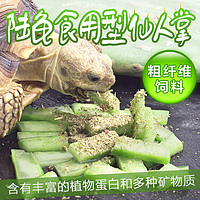 Rep－Shop 陆龟粮多肉仙人掌片辐射豹龟星龟整片整片可种植