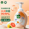 Dettol 滴露 泡沫抑菌洗手液 西柚香型 250ml