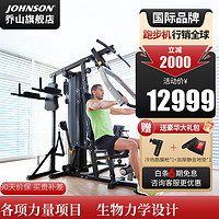 JOHNSON 乔山 综合训练器家用多功能室内健身房健身器材商用大型健身房 Torus 5