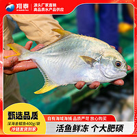 百亿补贴：翔泰海南深海金鲳鱼大只金鲳鱼新鲜冷冻400g/袋 水产生鲜ASC认证