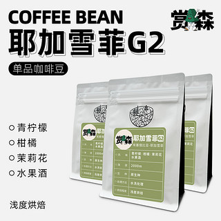 新产季埃塞俄比亚耶加雪菲G2精品手冲单品咖啡豆新鲜烘焙磨粉