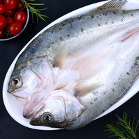 鸿顺三去海鲈鱼500g/条 去麟 去腮 去内脏 鲈鱼鲞 生鲜 冷冻