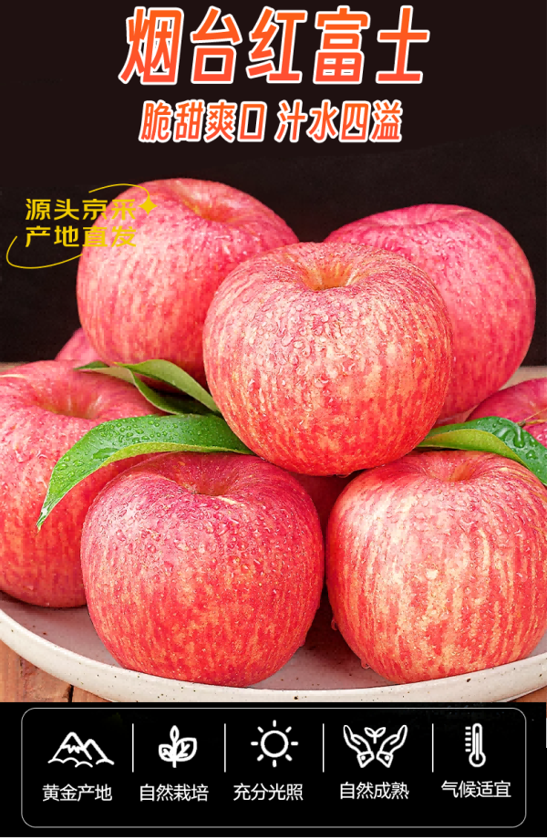 mrseafood京鲜生山东烟台红富士苹果净重5斤果径75mm新鲜水果源头直发